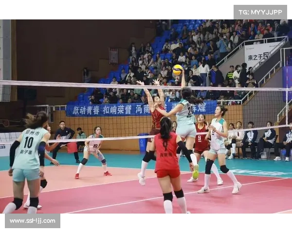 航空港区队横扫周口，豫排联赛第二阶段排位赛格局初现